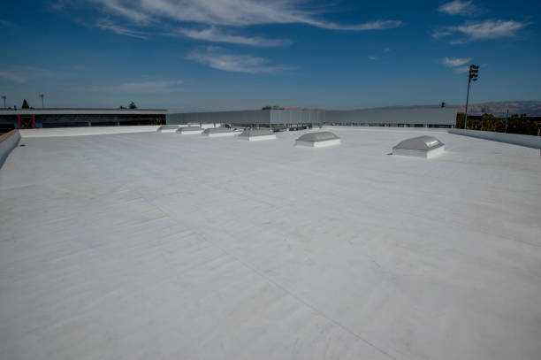 Best Roof Moss and Algae Removal  in Marshallton, PA